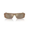 EMPORIO ARMANI Naiste Päikeseprillid EA4229U61195A Kassiläätse Läbipaistev Hall Raam Hall Gradient Läätsed 55mm