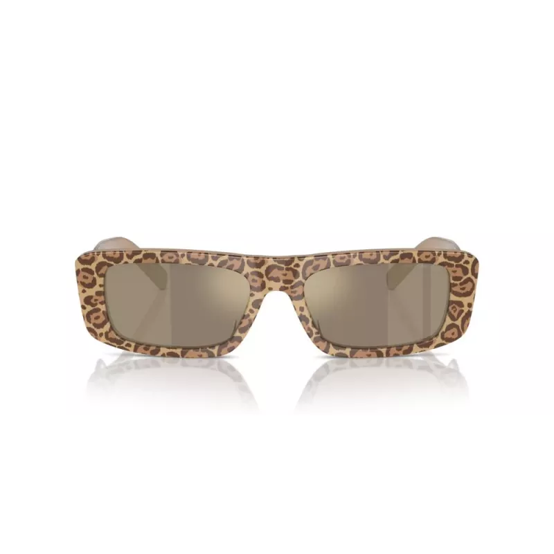 EMPORIO ARMANI Naiste Päikeseprillid EA4229U61195A Kassiläätse Läbipaistev Hall Raam Hall Gradient Läätsed 55mm