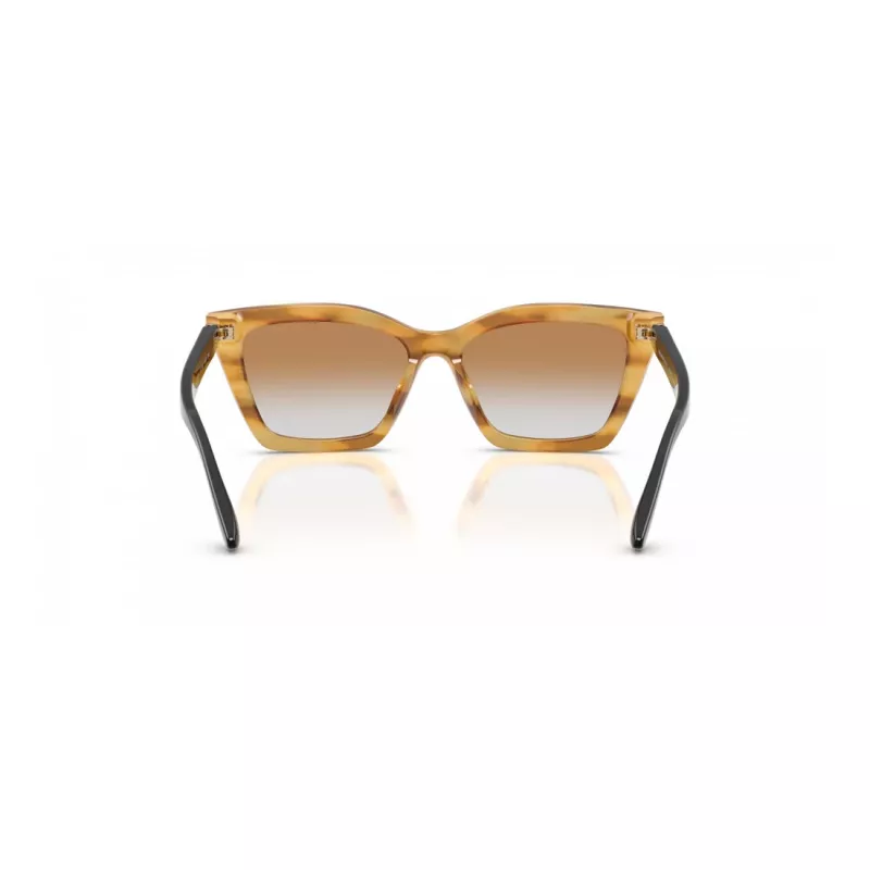 EMPORIO ARMANI Naiste päikeseprillid EA4250U62692Q Cat Eye Läbipaistev Hall 54mm