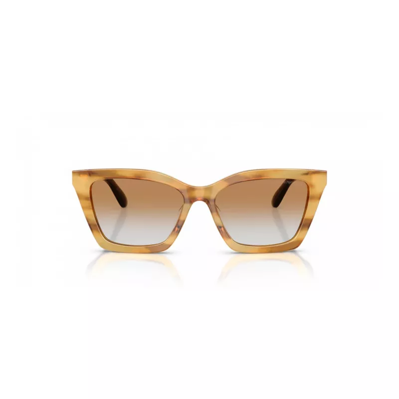 EMPORIO ARMANI Naiste päikeseprillid EA4250U62692Q Cat Eye Läbipaistev Hall 54mm