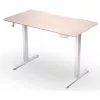ENDORFY Atlas S Electric Height Adjustable Desk Light Wood 120x60 cm