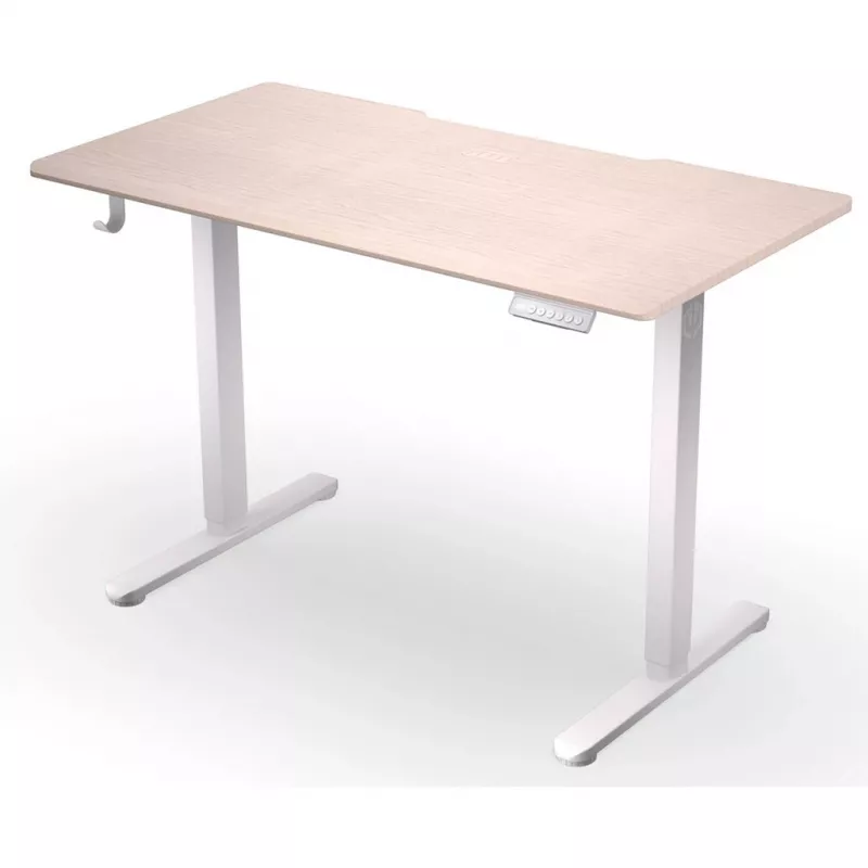 ENDORFY Atlas S Electric Height Adjustable Desk Light Wood 120x60 cm