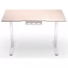 ENDORFY Atlas S Electric Height Adjustable Desk Light Wood 120x60 cm