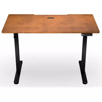 ENDORFY Atlas S Electric Height-Adjustable Desk Walnut/Black 120x60 cm