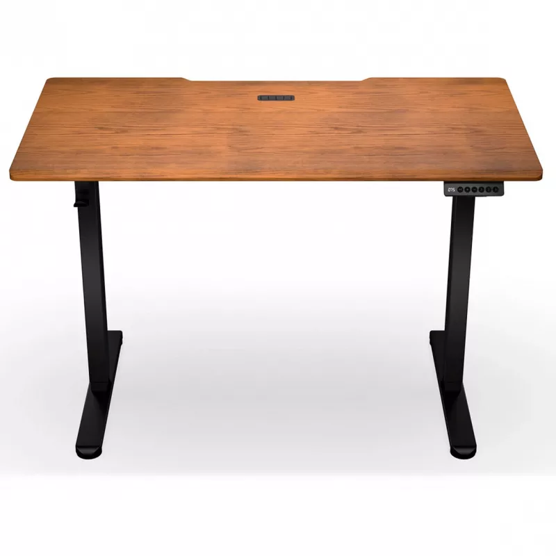 ENDORFY Atlas S Electric Height-Adjustable Desk Walnut/Black 120x60 cm