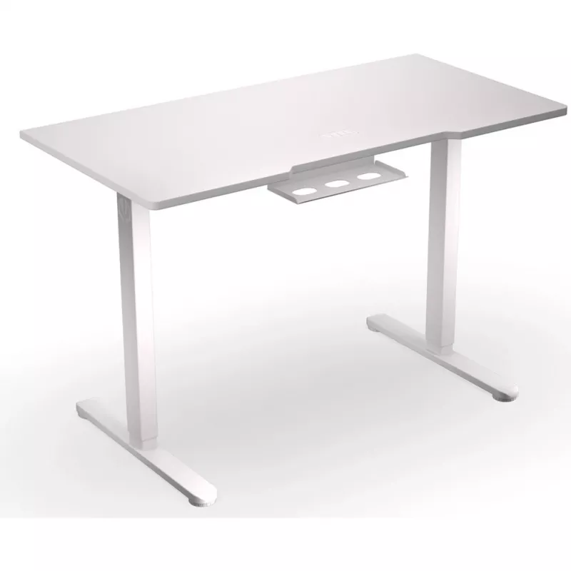 ENDORFY Atlas S Electric Onyx White Height Adjustable Desk 120x60 cm