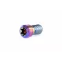 Ethic Clamp Titanium Screw Raw