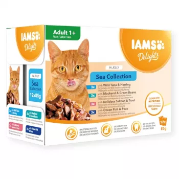 Eukanuba IAMS Delights Adult mereand tarretises märg kassitoit 12x85g