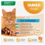 Eukanuba IAMS Delights Adult Sea in Jelly Märg kassitoit – 8x85g Kotikesed