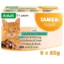 EUKANUBA IAMS DELIGHTS Land & Sea kollektsioon želees – märg kassitoit – 8x85g