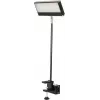 EUROLITE LED KKL-40 prožektor 3CT must 40W COB RGBW DMX 41600602