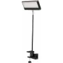EUROLITE LED KKL-40 prožektor 3CT must 40W COB RGBW DMX 41600602