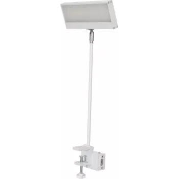 EUROLITE LED KKL-40 prožektor 3CT valge 41600600