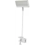 EUROLITE LED KKL-40 prožektor 3CT valge 41600600