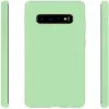 Evelatus Samsung Galaxy S10+ Nano silikoonist ümbris, pehme puudutusega TPU, mint