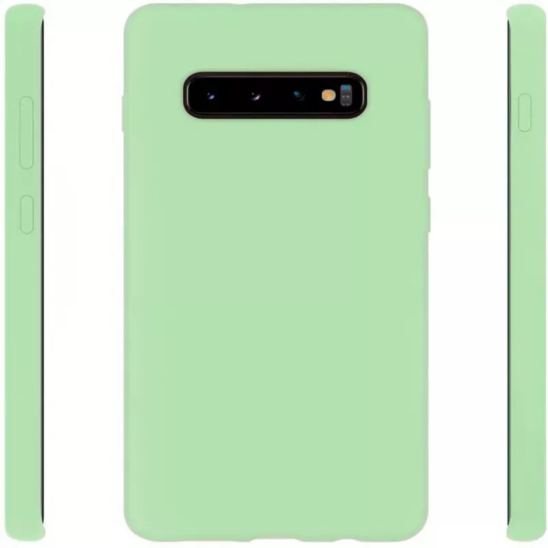 Evelatus Samsung Galaxy S10+ Nano silikoonist ümbris, pehme puudutusega TPU, mint