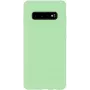Evelatus Samsung Galaxy S10+ Nano silikoonist ümbris, pehme puudutusega TPU, mint