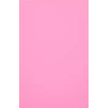 Evelatus Universal Color Shinning Film for Screen Cutter Light Pink (50 Sheets)