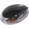 Exertis Connect 320300 Ambidextrous USB Optical Mouse, 800 DPI, must