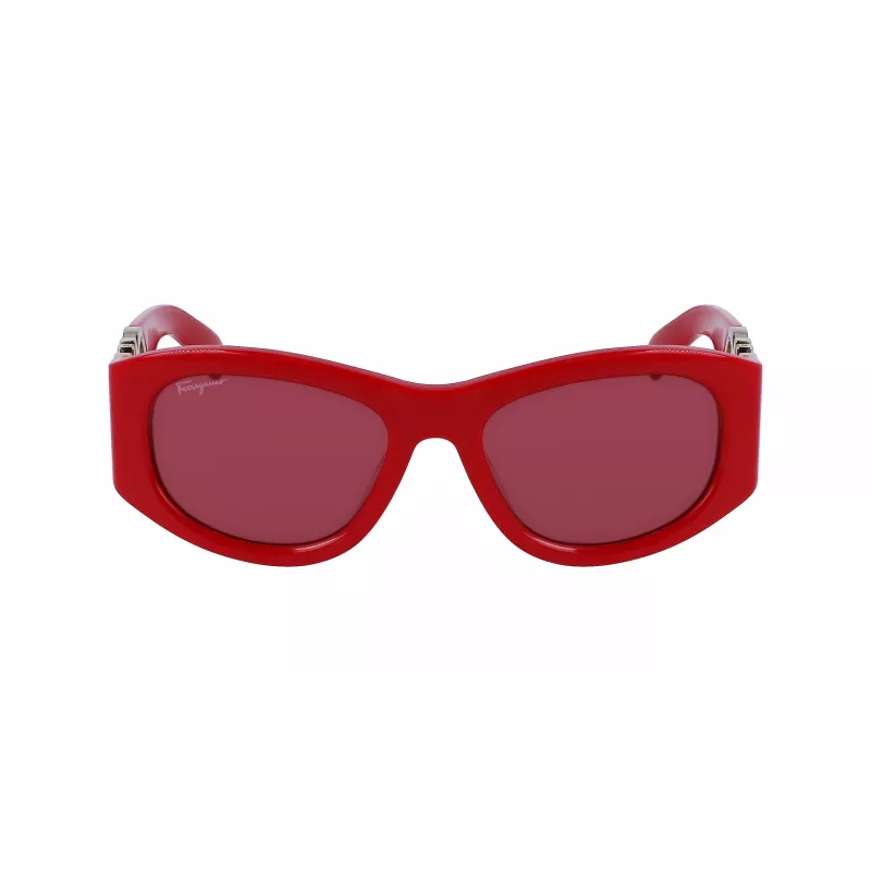Ferragamo SF1082S Päikeseprillid Naistele 531960 53/19/120 mm