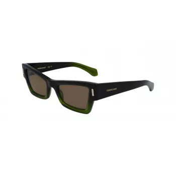 FERRAGAMO SF2006S-316 Naiste päikeseprillid Havana atsetaat pruun gradient 53mm