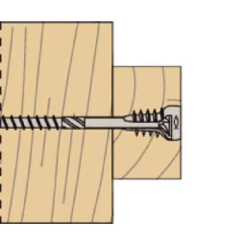 Fischer 558881 FAFS reguleerimiskruvi 5 mm x 100 mm T-profiil tsingitud teras Torx T25 uputatud pea (100 pakk)