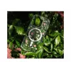 FIXED MagBloom ümbris Apple iPhone 17 Pro Max jaoks, põsepuna ploom