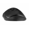 Gembird MUSW3-9B-01 Kolmerežiimiline juhtmevaba ergonoomiline hiir (2,4 GHz + Bluetooth + USB-C), 2400 DPI, 9 nuppu, Must