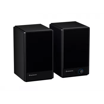Genesis Arsen 402BT NGS-2415 lauakõlarid, 2.0, 60 W, Bluetooth 5.3, mustad