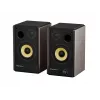 GENESIS ARSEN 402BT 2-suunaline pronksist juhtmega ja juhtmevaba 60 W