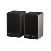 GENESIS ARSEN 402BT 2-suunaline pronksist juhtmega ja juhtmevaba 60 W