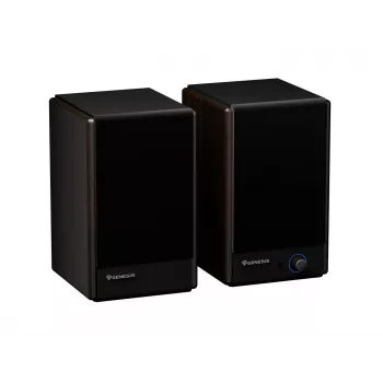 GENESIS ARSEN 402BT 2-suunaline pronksist juhtmega ja juhtmevaba 60 W