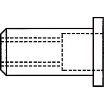 GESIPA pime-neetmutri M10 x 12 x 17,5 mm terasest tsingitud lamepea, haardeulatus 0,25–3,5 mm, 100 tk pakk (1433709)