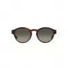 GIORGIO ARMANI Naiste päikeseprillid AR8146-596271 Havana atsetaat roheline gradient 50/15/145 mm