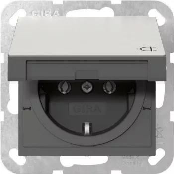Gira 4454600 SCHUKO pistikupesa liigendkattega, System 55, roostevaba teras