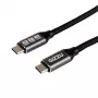 GIZZU 100W 10Gbps USB-C 2m kaabel