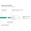 GoodConnections RNS® Cat. 6A S/FTP halogeenivaba patch-kaabel lukustuskaitsega, 3 m, roheline
