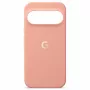 Google Pixel 11 Pro XL ümbris Canyon CGY4 5B05