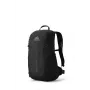 Gregory Arrio 20 Hiking Backpack - Shadow Pine Black