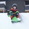 Hamax Sno Zebra lumekelk roheline polüetüleen