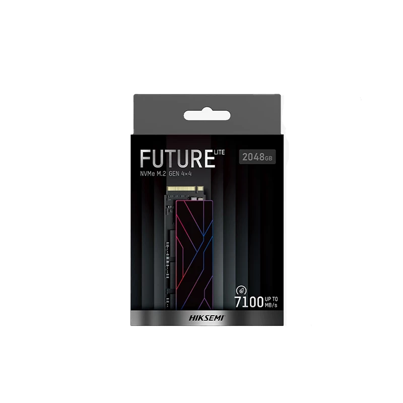 HIKSEMI Future Lite 2TB M.2 NVMe pooljuhtketas