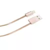 Hoco Apple Lighter UPL17 Gold USB-A to Lightning kaabel 1,2 m