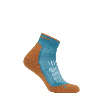 Icebreaker Hike+ Light Mini Merino Socks Men's Topaz/Trail