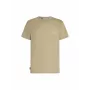 Icebreaker Merino 150 Tech Lite SS Tee Peaceful Pass - Flagstone meeste T-särk