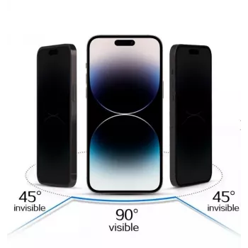 iLike Apple iPhone 17 Pro karastatud privaatsusklaasist ekraanikaitse, must