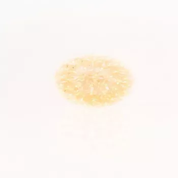 iLike Bumba Flower Ball RS-209 100 LED sooja valge dekoratiivvalgus D-14cm