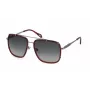 JUST CAVALLI Unisex Sunglasses SJC030V5809JC Havana Acetate Brown Gradient 58mm