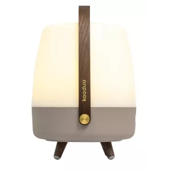 KOODUU Koody Lite-up Play 2.0 Earth LED kaasaskantav lamp sisseehitatud JBL kõlariga