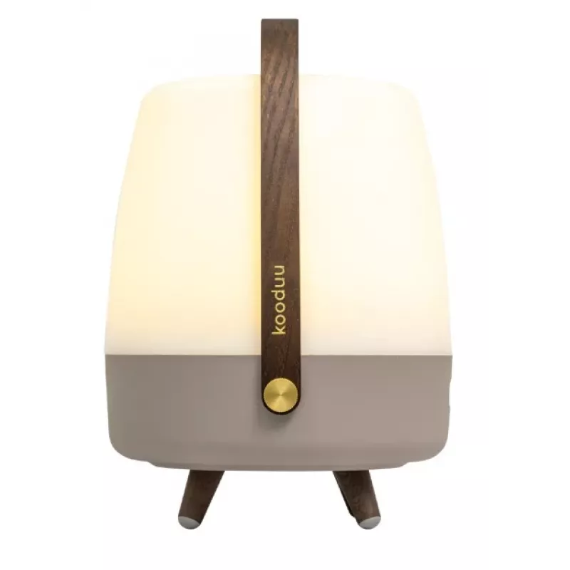 KOODUU Koody Lite-up Play 2.0 Earth LED kaasaskantav lamp sisseehitatud JBL kõlariga