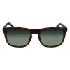 Lacoste L956S-230 Meeste Päikeseprillid Havana Pruun Ristkülikukujuline Atsetaat 55mm